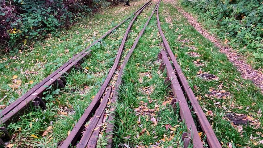 Small tracks of a railway in a autumn forest