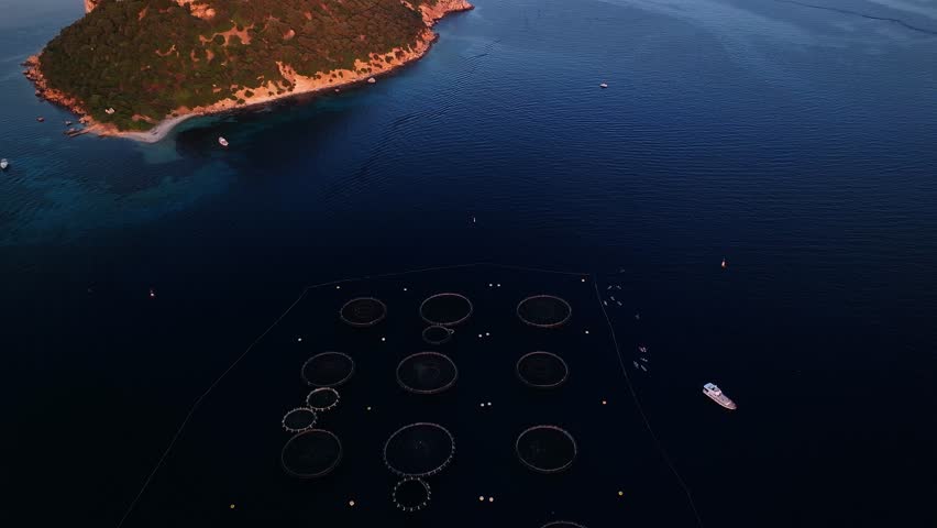 Aerial view of a geometric array of fish farms contrasting with the island