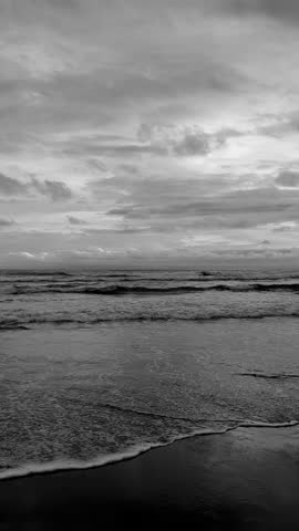 Black and White Seascape View of Shoreline and Ocean Wave