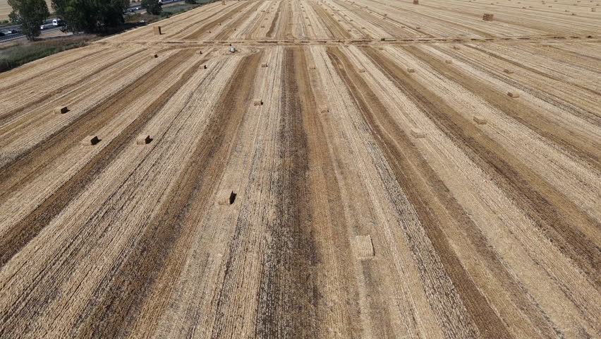 Drone Aerial high-angle view of a large, harvested agricultural field with straw bales and distinct linear patterns on the stubble
