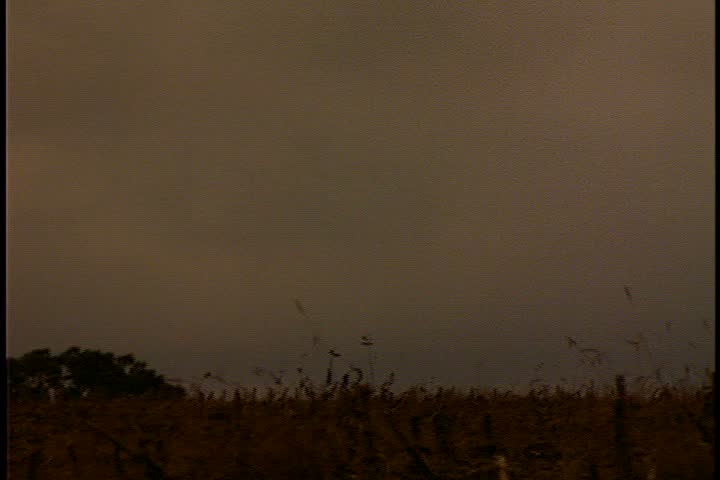 Slavery reenactment in Carlise, Massachusetts. MS open field at dusk. Slave workers with horse and wagon cross field from left to right in low light.