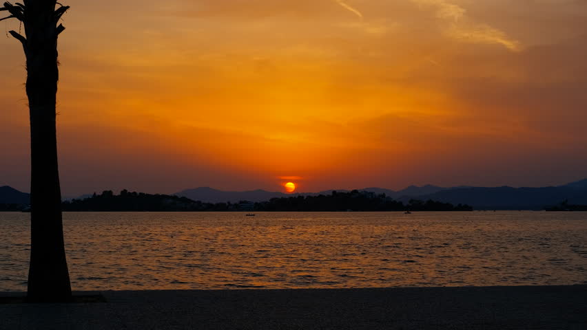 Tropical sunset over calm ocean with palm tree silhouette. Golden sunlight warming ocean horizon, casting vibrant orange hues across sky with silhouetted palm tree standing against peaceful landscape
