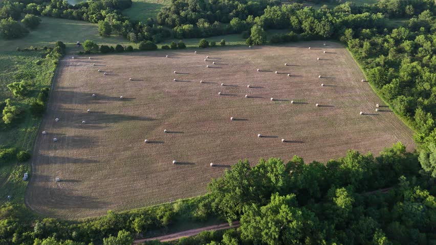 An aerial drone shot capturing a wide farmland field dotted with round hay bales during golden hour. Long shadows stretch across the landscape as warm evening sunlight highlights the rural landscape.