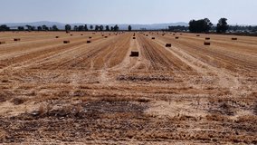 drone fly towards a Wide-angle aerial shot of a vast, golden harvested field dotted with rectangular straw bales and leading towards a distant treeline and mountains under a clear sky - Powered by Shutterstock - Get 15% off with code: PIKWIZARD15