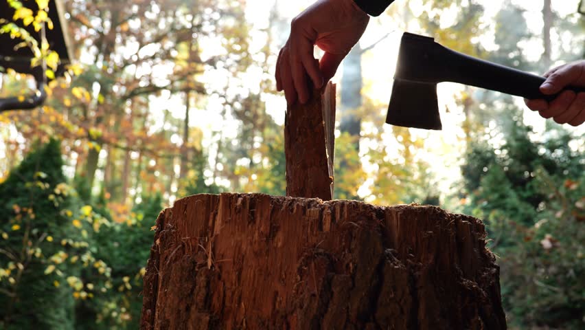 Chopping firewood. close-up of the axes work in the suns rays and glare.man chopping firewood in sunny weather against a backdrop of yellow autumn trees