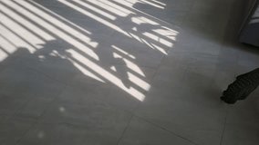 Handheld video of vertical sunlight beams passing through blinds cast striped shadows on a clean library floor, creating a calm, minimalist interior aesthetic shadow of ornamental plants in small pots - Powered by Shutterstock - Get 15% off with code: PIKWIZARD15