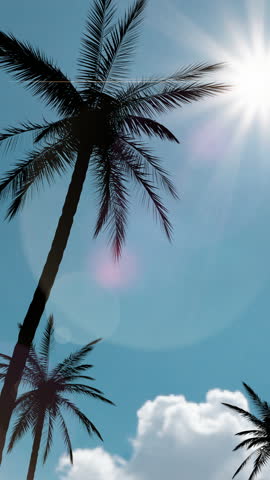 Passenger Airplane Landing With A Beautiful Tropical Sunset.
