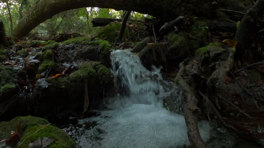 Tranquil Forest Stream with Waterfall. Small Waterfall in a Forest. Natural Waterfall Surrounded by Trees.