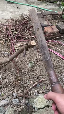 A person holds a large, rustic, machete-like tool, swinging it downwards towards a thick, chopped-off branch and a pile of garden debris on the ground.