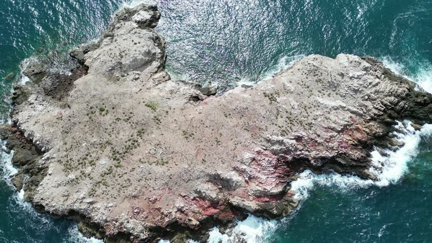 A lonely, flat island floating in the middle of the sea, a bird island, a bird