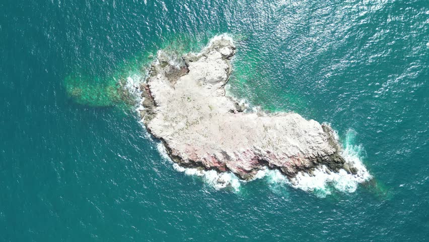 A lonely, flat island floating in the middle of the sea, a bird island, a bird