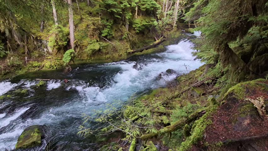 McKenzie River by Sahalie Falls Trail Oregon Hwy 126 Oregon