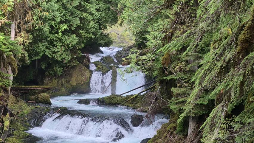 McKenzie River by Sahalie Falls Trail Oregon Hwy 126 Oregon