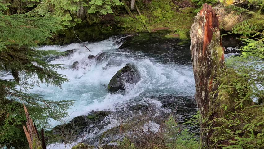 McKenzie River by Sahalie Falls Trail Oregon Hwy 126 Oregon