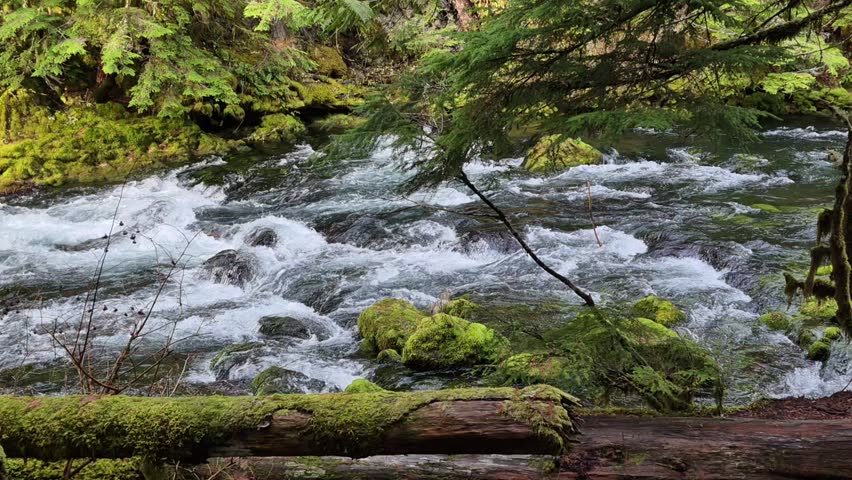 McKenzie River by Sahalie Falls Trail Oregon Hwy 126 Oregon