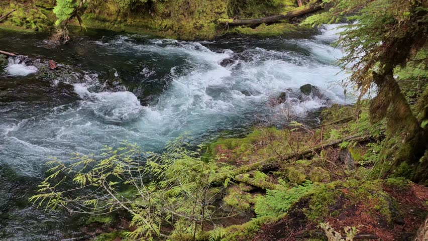 McKenzie River Sahalie Falls Trail Highway 126 Oregon