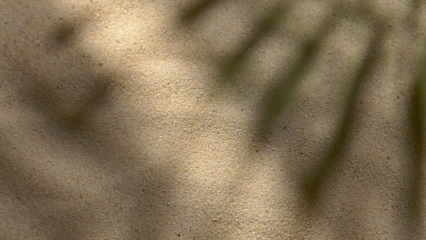 Close-up water surface ripples and splash, palm tree leaf shadow on sand texture