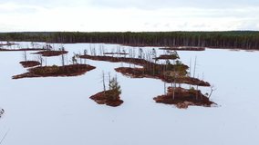 Aerial footage of icy bog lake and frozen trees surrounded by snow in Latvia - Powered by Shutterstock - Get 15% off with code: PIKWIZARD15