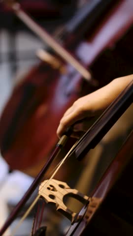 Close-Up of Cellist Playing Cello During Orchestra Practice in rehearsal studio
