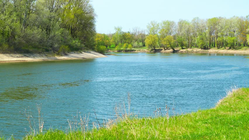 A beautiful spring landscape with a forest and river view. Green grass and trees create a beautiful natural setting
