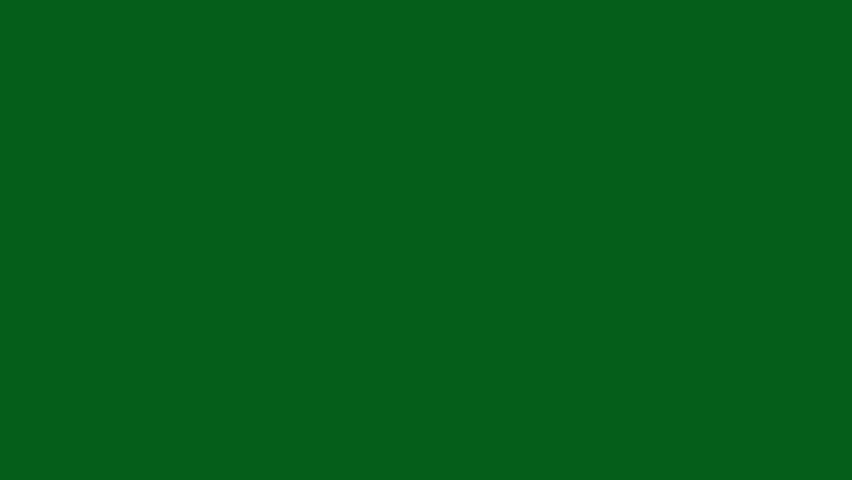 Twinkle Star Animation, Magic sparkles glitter line stars, luxury white glitter sparkles line trail on a black screen background, magic dust with Christmas stars isolated on a green screen. 4K