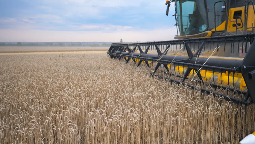Close up knife of combine spinning and cutting ears of wheat. Harvester slowly riding through field and gathering crop of ripe barley. Beautiful view at background. Concept of harvesting. Slow motion