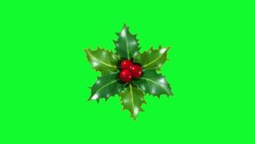 animated Christmas decorations on a green background - Powered by Shutterstock - Get 15% off with code: PIKWIZARD15