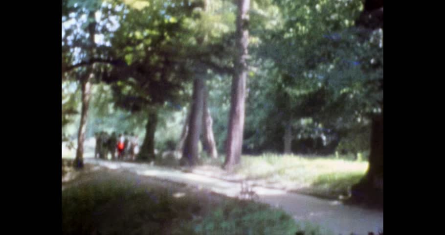 Old Film Style, Dense Park Foliage and Tree Trunk, Sofiyivka Park Forest Scene with Sunbeams - Vintage 8mm Film Look
