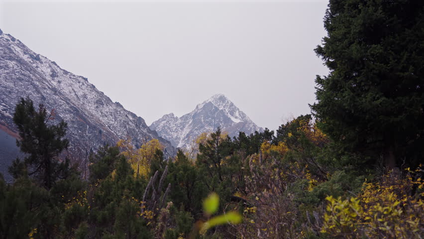 Snowy Mountain Peak with Autumn Forest