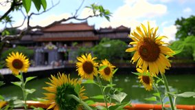 Bright yellow sunflowers bloom in the foreground, framing the historic Noon Gate and its reflection on the water. - Powered by Shutterstock - Get 15% off with code: PIKWIZARD15