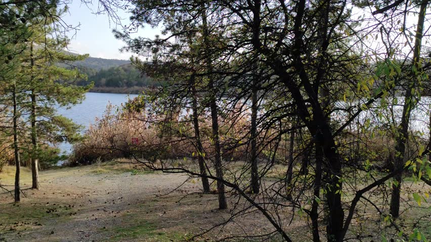 Peaceful views of Lake, capturing the serene water, surrounding nature, and tranquil atmosphere. Perfect for backgrounds, relaxation, or nature-themed projects. Shot in high quality to bring the