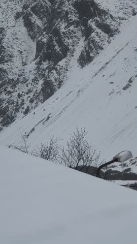Winter storm in the mountains