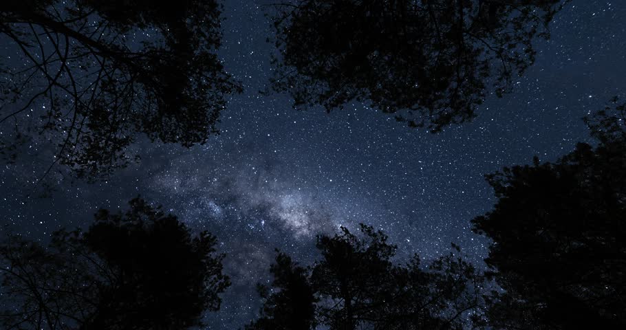 View from earth on Milky Way from forest. Timelapse shot, Earth rotation concept. Wide angle lens shot