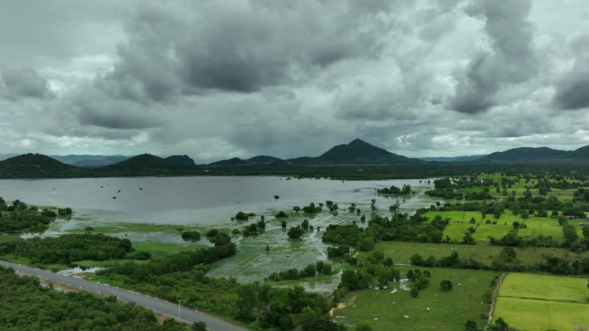 Pepper Plants in the pepper farm or field. Capia or chili red peppers in the farm