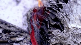 Close-up of burned paper edges with curled layers, ash, and red ink remnants. Burned papers with ash. - Powered by Shutterstock - Get 15% off with code: PIKWIZARD15
