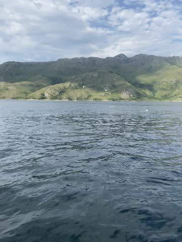 Dolphins playing, jumping and frolicking around a boat in Loch Hourn, Sound of Sleat, West Coast of Scotland, Scottish Highlands