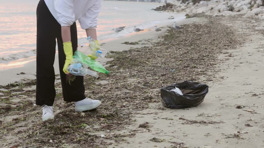 Volunteer cleaning plastic trash on a polluted beach, picking up bottles and waste into a garbage bag. Environmental protection, ecology awareness, coastal cleanup and ocean pollution problem.