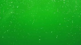 snowflakes animated on green background  - Powered by Shutterstock - Get 15% off with code: PIKWIZARD15