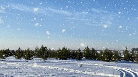 Scenic winter landscape with bright sun shining over a snowy forest road. Snowflakes sparkle in the sunlight, creating a peaceful and magical cold-weather atmosphere - Powered by Shutterstock - Get 15% off with code: PIKWIZARD15