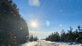 Scenic winter landscape with bright sun shining over a snowy forest road. Snowflakes sparkle in the sunlight, creating a peaceful and magical cold-weather atmosphere - Powered by Shutterstock - Get 15% off with code: PIKWIZARD15