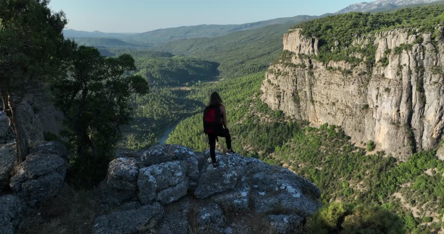 grand canyon green forest natural life