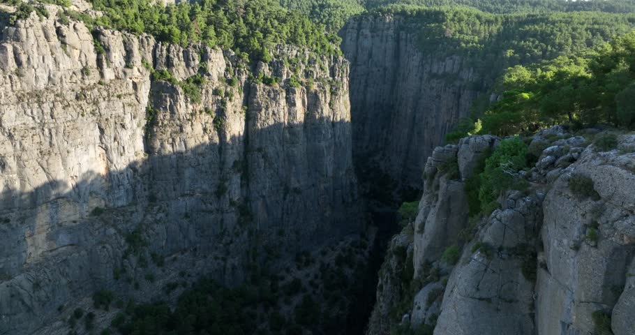 grand canyon green forest natural life
