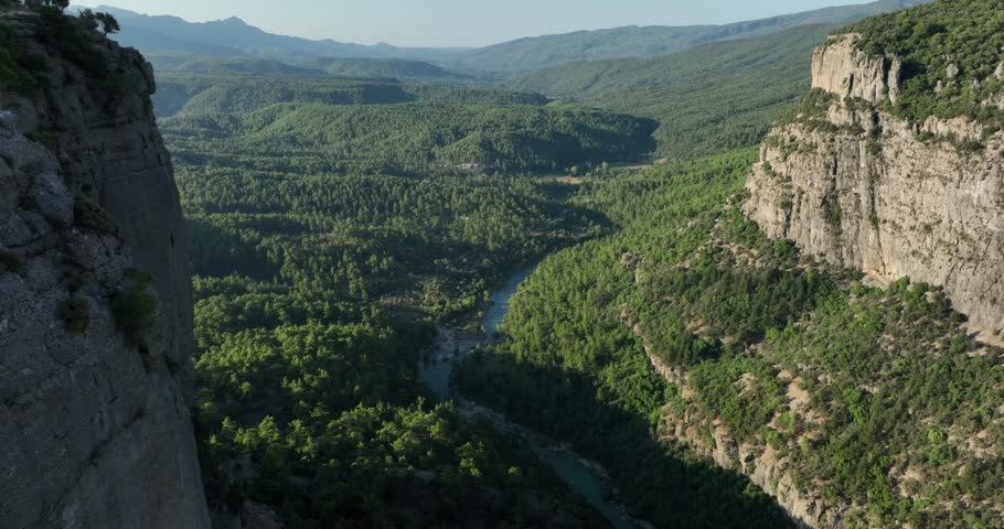grand canyon green forest natural life