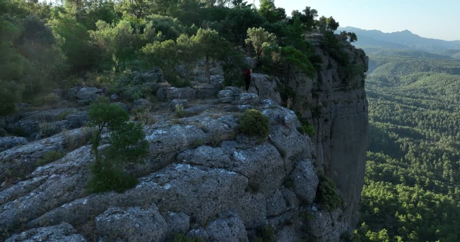 grand canyon green forest natural life