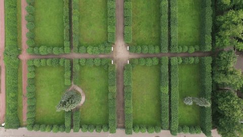 Drone Flying over Symmetrical Hedge Corridors