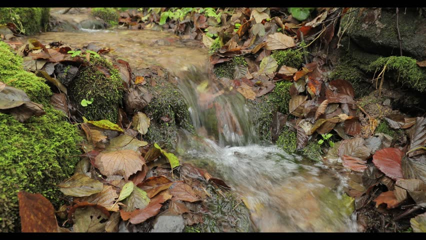 A fast flowing forest spring runs through rocky sandy bottom with large moss-covered stones and autumn leaves creating tranquil atmosphere for meditation