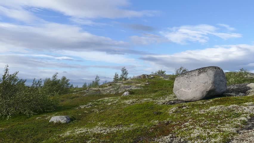 The landscape of the polar tundra. The unique nature, the kingdom of mosses and lichens, huge stones, unusual crooked trees.