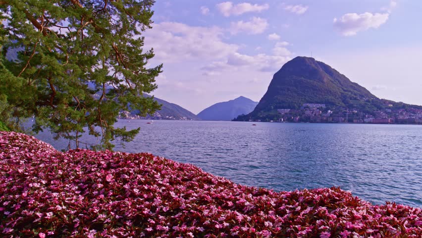 Lugano, Switzerland – October 7, 2022: Parco Ciani view of Lake Lugano with Monte San Salvatore, Paradiso, pine tree branches, pink flower bed, and a bird flying above the water.