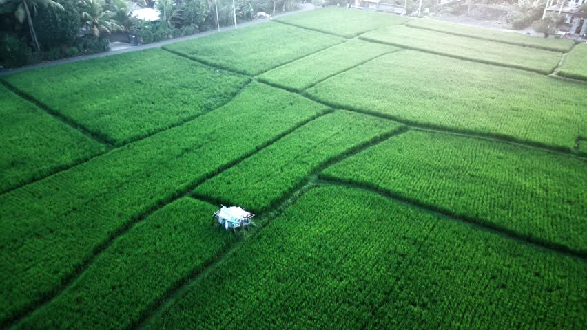 Views of the fabulous island of Bali