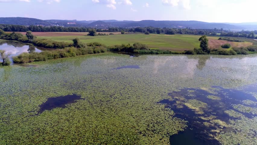 Aerial view of a tranquil lake covered with lily pads on a sunny summer day